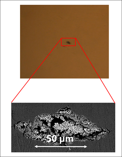 Einschluss in einer Oxidkeramik identifiziert mit Immersionsmethode und analysiert im REM (Rasterelektronenmikroskop)