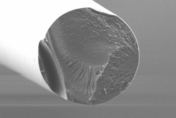 Nanokristalline Mikrostruktur einer oxidkeramischen Faser (REM-Bild, 1200-fache Vergrößerung)