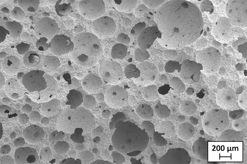 SEM image of the pore structure of a mullite foam