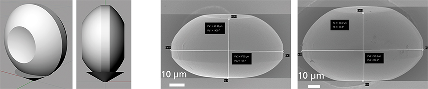Examples of 3D-printed micro-optics made of ORMOCER®